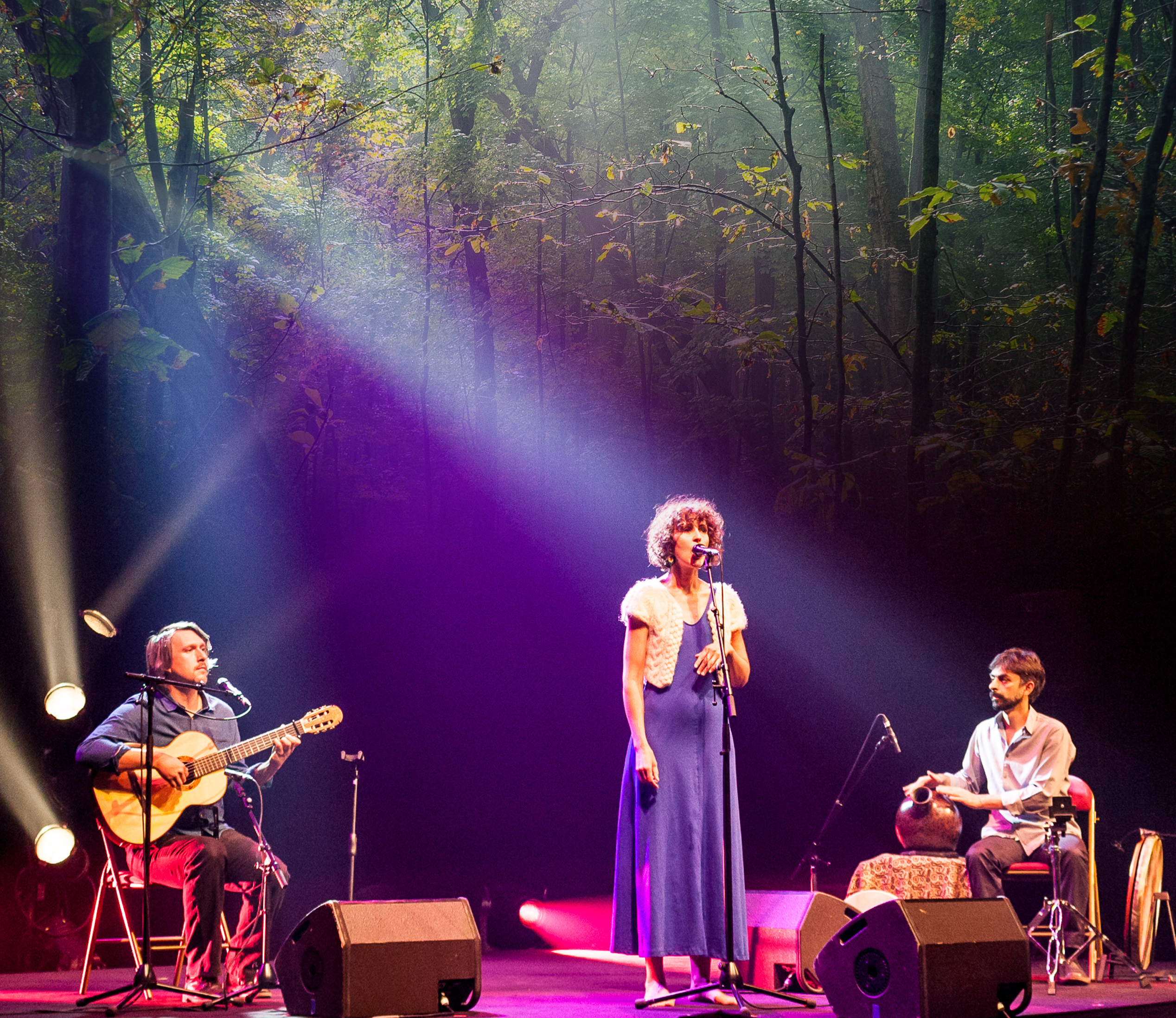 la-silencieuse-foret